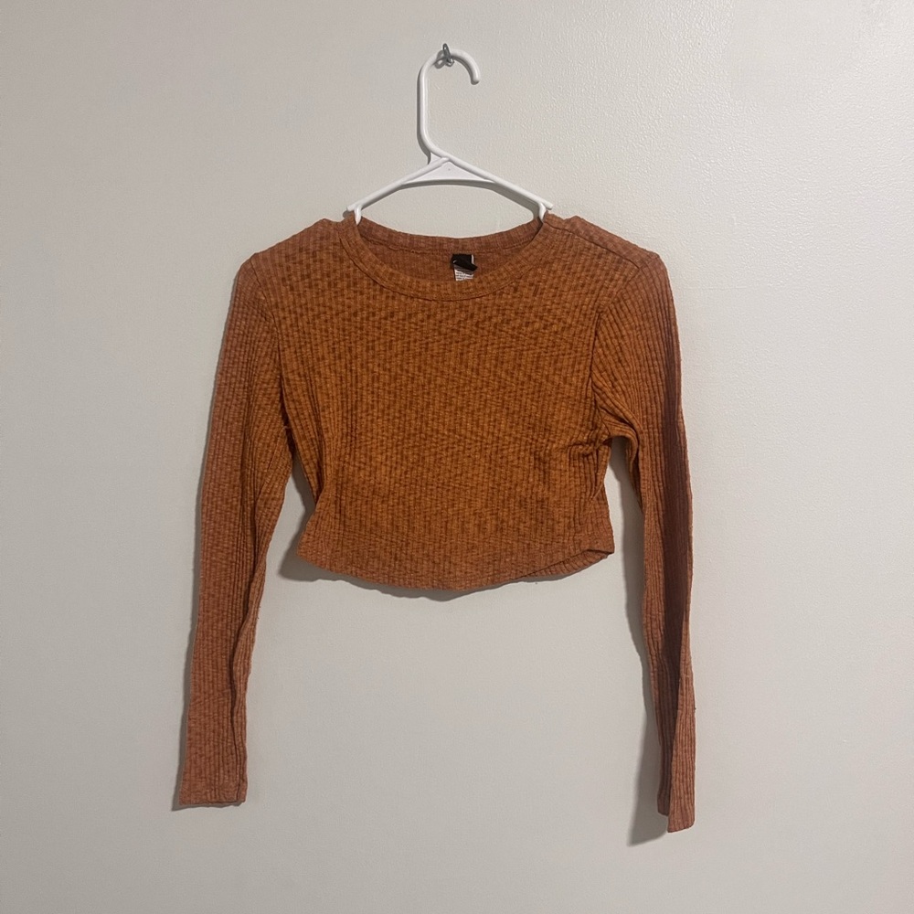 Windsor Brown Ribbed Crop Top Long Sleeve